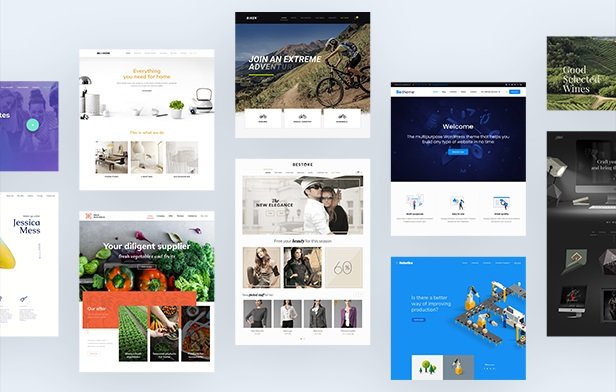 Website development portfolio